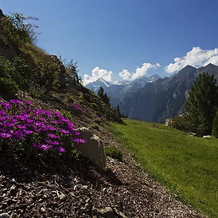 艾登酒店 3* 格雷兴